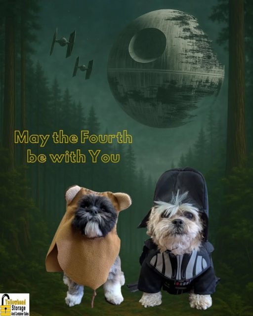 May the Fourth be with You, today and always! 

Happy Star Wars Day from Darth Teddy & Ewok Winston ✨ 

Swipe to see the AI version 😆 

#starwars #maythe4thbewithyou #maytheforcebewithyou #dogsofinstagram #starwarsday