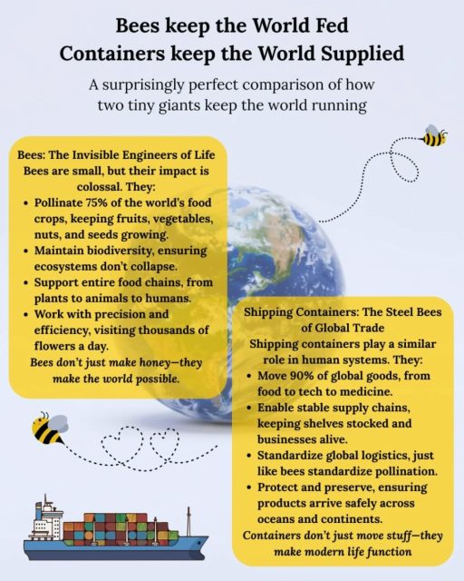 Today is World Bee Day 🐝
Bees keep the world fed.
Containers keep the world supplied.
A surprisingly perfect comparison of how two tiny giants keep the world running!
Here’s the magic:
Bees sustain natural ecosystems.
Shipping containers sustain human-made ecosystems.
Both are:
· Underappreciated
· Indispensable
· Invisible until they’re missing
· The backbone of stability
Without bees we wouldn’t have the majority of the foods we enjoy everyday and without shipping containers we wouldn’t have the majority of the products we use everyday !
Today we give thanks to the Bees and appreciate them for keeping us alive and thriving! 🌱
And maybe think twice the next time you're stuck at a train watching all the shipping containers go by. The products you depend on could be in one of those shipping containers! 🙏
#worldbeeday #bees #beesmaketheworldgoround #shippingcontainer #storagesolutions