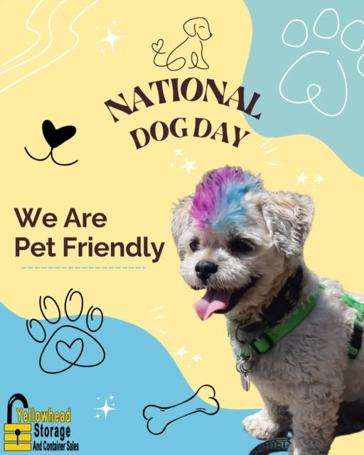 Happy National Dog Day 🐶
Did you know we are a pet friendly business?
We love meeting your furry friends, but please remember some important safety tips when bringing your dog or pet to site:
• No Off leash Dogs/pets, for the safety of your pet please keep them on a leash when visiting inside the office or your storage unit in the yard.
• Dogs must be friendly and well behaved at all times.
• Do not leave your pet unattended at any point.
• Always clean up after your pet.
We can’t wait to meet them!
#internationaldogday #dogsatwork #welovedogs #petfriendlybusiness #yegdogs